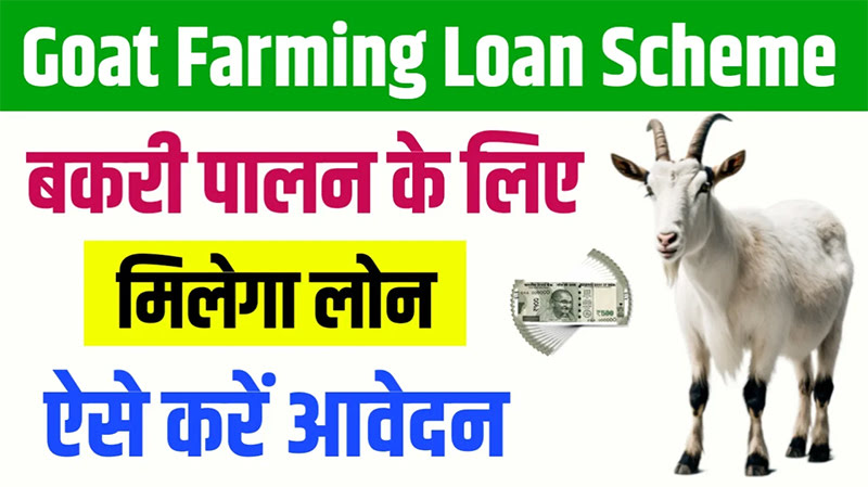 Bakri Palan Scheme