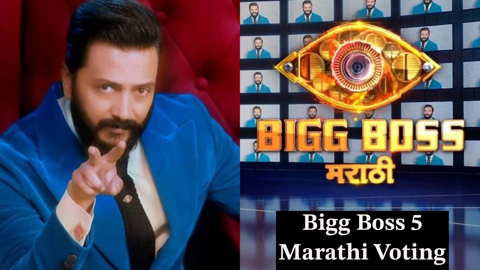 Bigg Boss 5 Marathi Voting